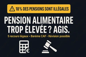 Pension Alimentaire Trop Élevée : 5 Recours Pour La Faire Baisser (Guide 2026)